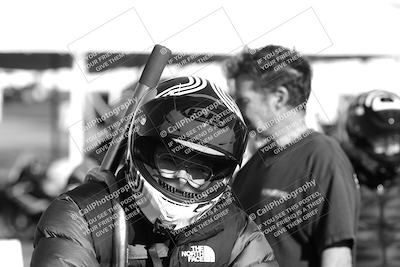 media/Mar-08-2025-TrackXperience (Sat) [[277b597a28]]/1-Around the Pits - Pre Grid/